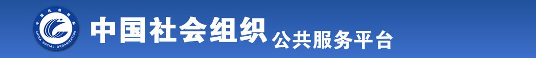 色插操全国社会组织信息查询